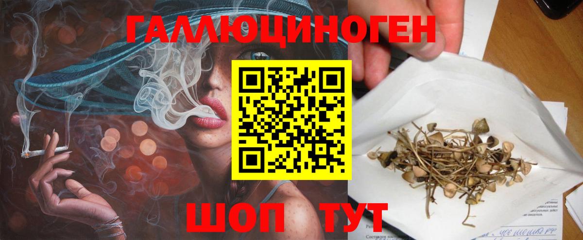 Лыткарино  Галлюциногенные грибы ЛСД  Вход с VPN  Галлюциногенные грибы ЛСД 